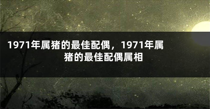 1971年属猪的最佳配偶，1971年属猪的最佳配偶属相