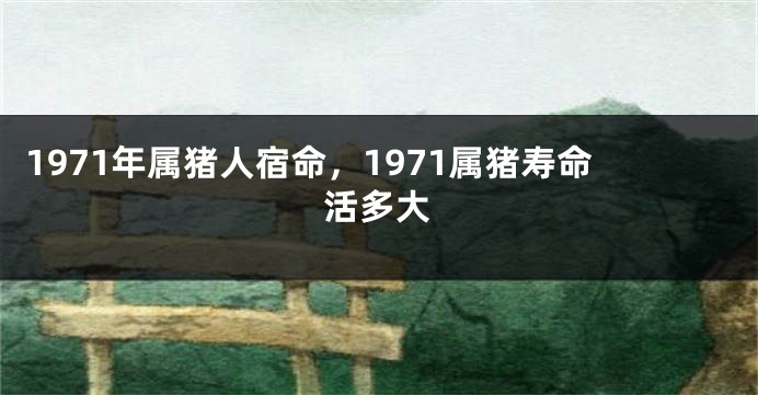 1971年属猪人宿命，1971属猪寿命活多大