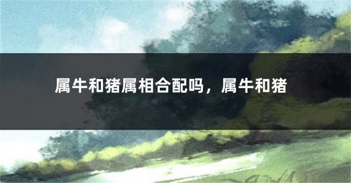 属牛和猪属相合配吗，属牛和猪