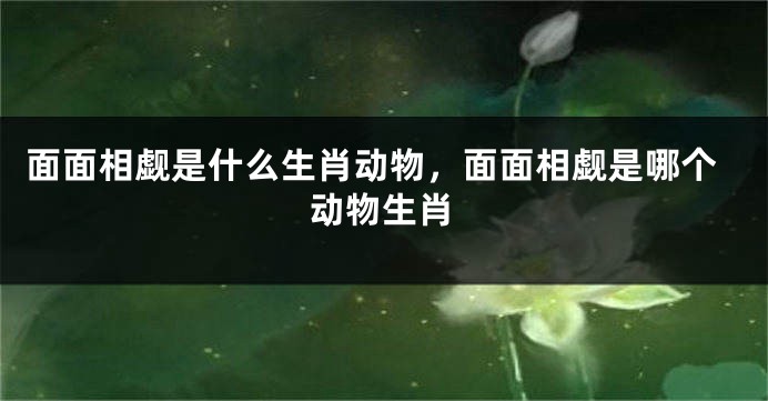 面面相觑是什么生肖动物，面面相觑是哪个动物生肖