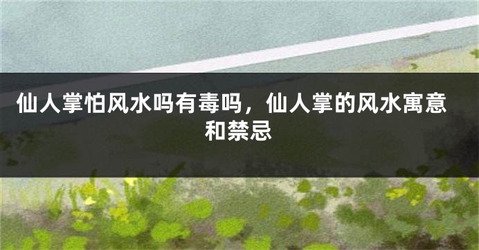 仙人掌怕风水吗有毒吗，仙人掌的风水寓意和禁忌