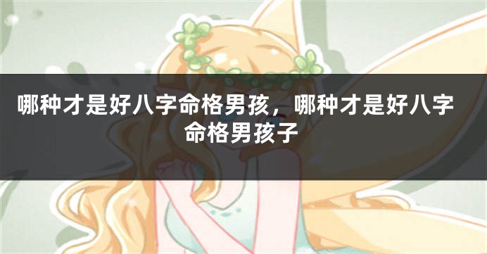 哪种才是好八字命格男孩,哪种才是好八字命格男孩子