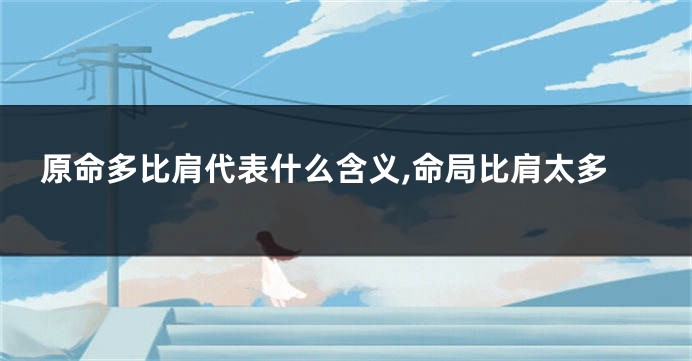 原命多比肩代表什么含义,命局比肩太多