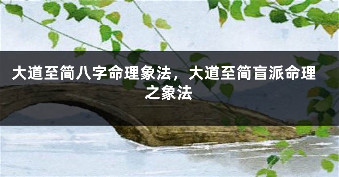 大道至简八字命理象法，大道至简盲派命理之象法