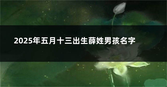 2025年五月十三出生薛姓男孩名字