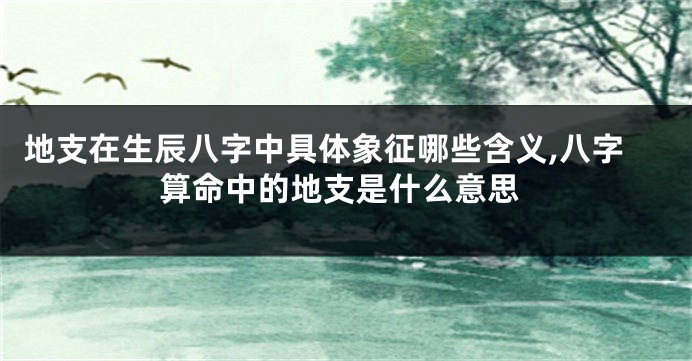 地支在生辰八字中具体象征哪些含义,八字算命中的地支是什么意思