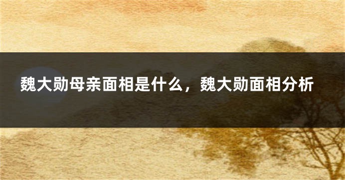 魏大勋母亲面相是什么，魏大勋面相分析