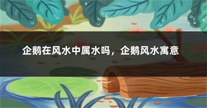 企鹅在风水中属水吗，企鹅风水寓意