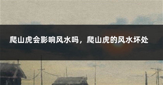 爬山虎会影响风水吗，爬山虎的风水坏处