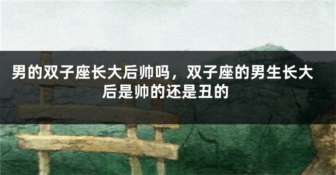 男的双子座长大后帅吗，双子座的男生长大后是帅的还是丑的
