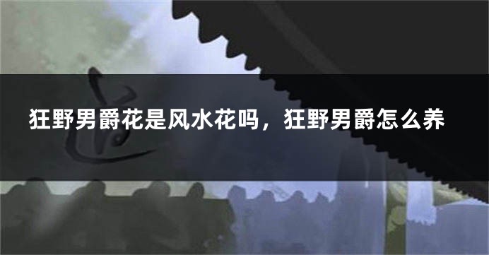 狂野男爵花是风水花吗,狂野男爵怎么养