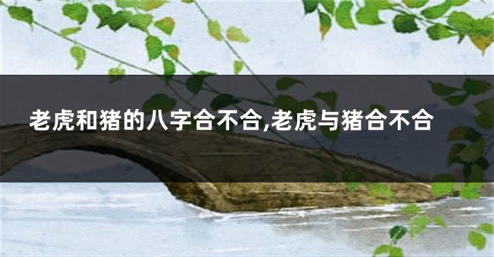 老虎和猪的八字合不合,老虎与猪合不合