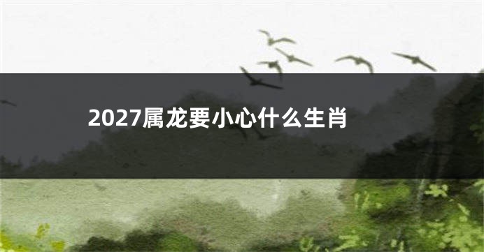 2027属龙要小心什么生肖