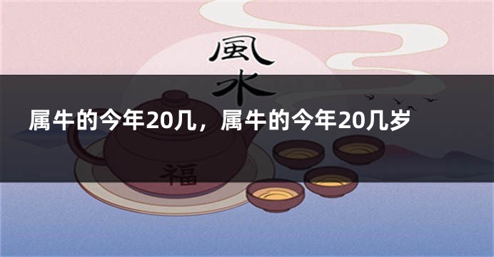 属牛的今年20几，属牛的今年20几岁