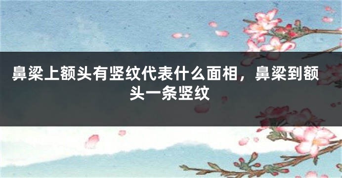 鼻梁上额头有竖纹代表什么面相，鼻梁到额头一条竖纹