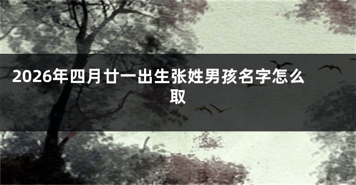 2026年四月廿一出生张姓男孩名字怎么取