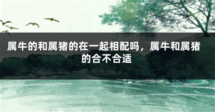属牛的和属猪的在一起相配吗，属牛和属猪的合不合适