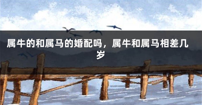 属牛的和属马的婚配吗，属牛和属马相差几岁
