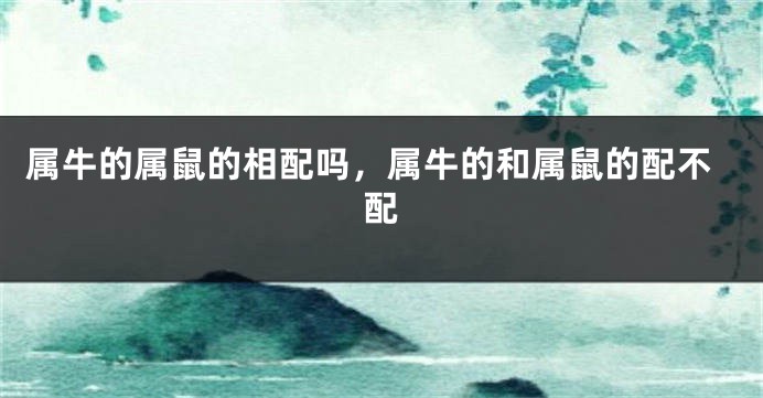 属牛的属鼠的相配吗，属牛的和属鼠的配不配