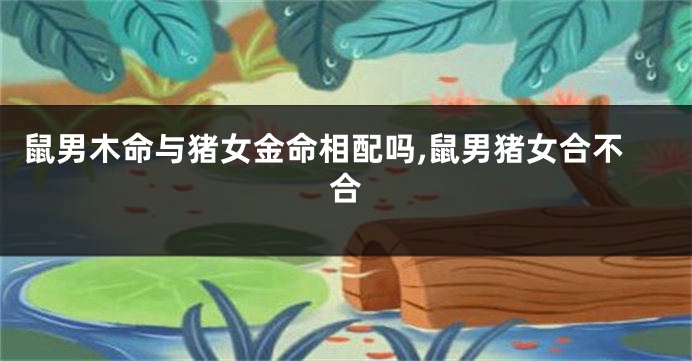 鼠男木命与猪女金命相配吗,鼠男猪女合不合