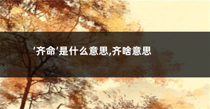 ‘齐命’是什么意思,齐啥意思