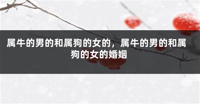 属牛的男的和属狗的女的，属牛的男的和属狗的女的婚姻