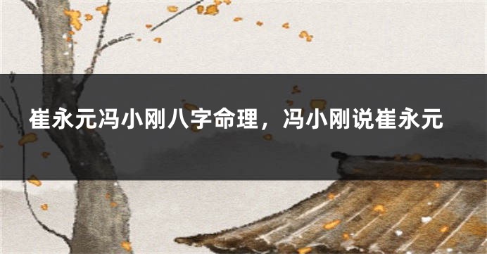 崔永元冯小刚八字命理，冯小刚说崔永元