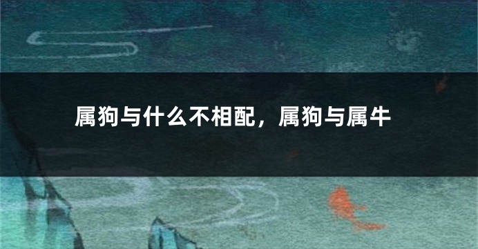 属狗与什么不相配,属狗与属牛