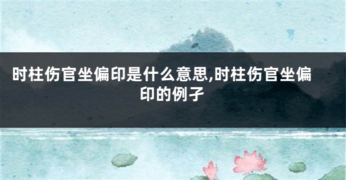 时柱伤官坐偏印是什么意思,时柱伤官坐偏印的例孑