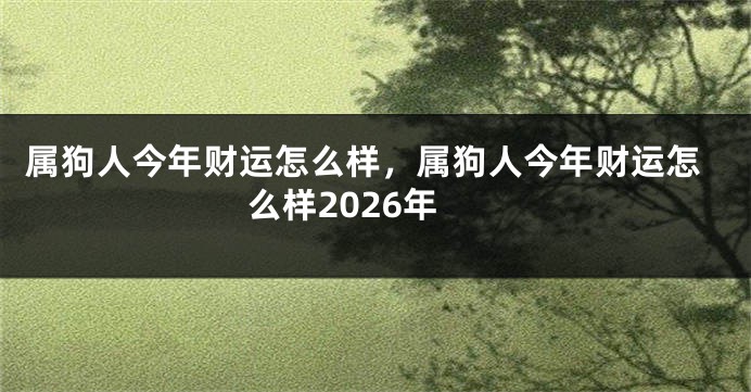 属狗人今年财运怎么样，属狗人今年财运怎么样2026年