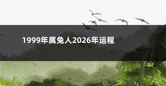 1999年属兔人2026年运程