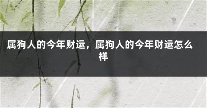 属狗人的今年财运，属狗人的今年财运怎么样