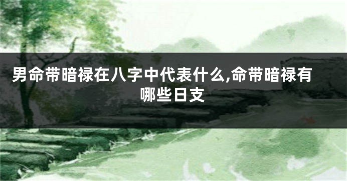 男命带暗禄在八字中代表什么,命带暗禄有哪些日支