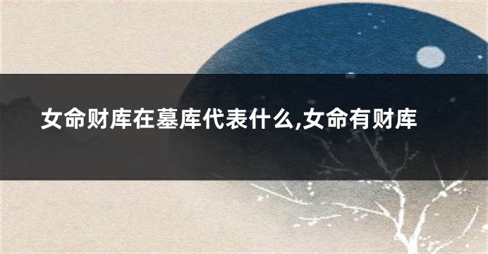 女命财库在墓库代表什么,女命有财库