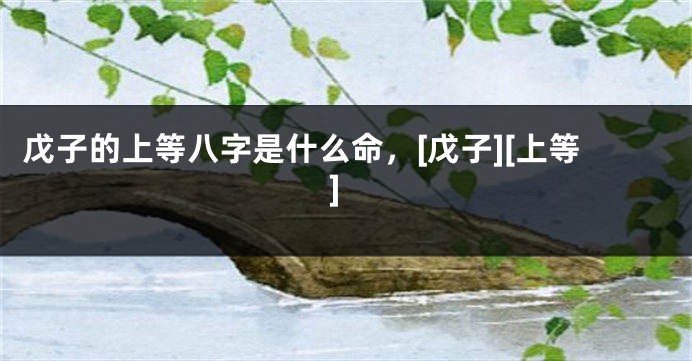 戊子的上等八字是什么命，[戊子][上等]