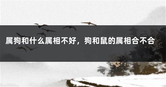 属狗和什么属相不好，狗和鼠的属相合不合