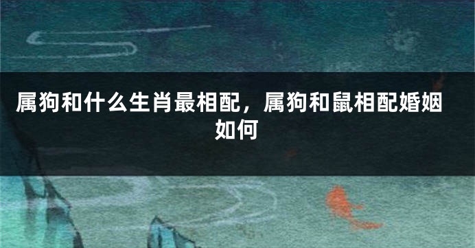 属狗和什么生肖最相配，属狗和鼠相配婚姻如何