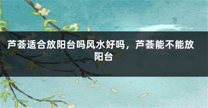 芦荟适合放阳台吗风水好吗，芦荟能不能放阳台