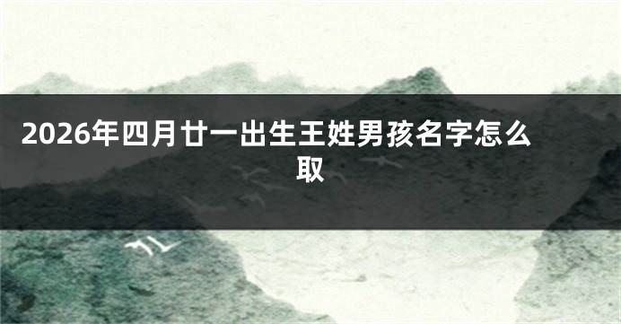 2026年四月廿一出生王姓男孩名字怎么取