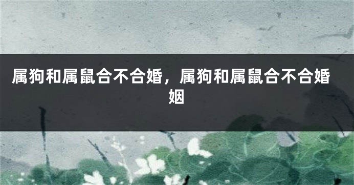 属狗和属鼠合不合婚，属狗和属鼠合不合婚姻