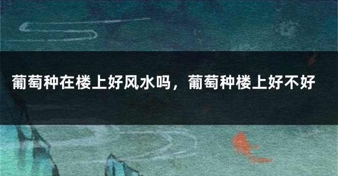 葡萄种在楼上好风水吗,葡萄种楼上好不好