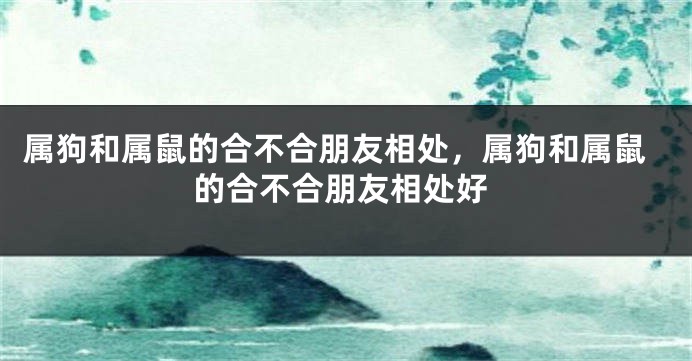 属狗和属鼠的合不合朋友相处，属狗和属鼠的合不合朋友相处好