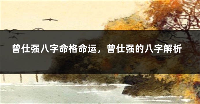 曾仕强八字命格命运,曾仕强的八字解析
