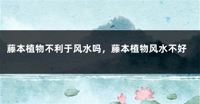 藤本植物不利于风水吗，藤本植物风水不好