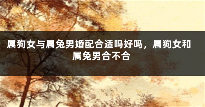属狗女与属兔男婚配合适吗好吗，属狗女和属兔男合不合