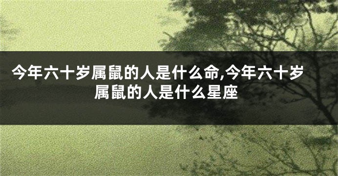 今年六十岁属鼠的人是什么命,今年六十岁属鼠的人是什么星座