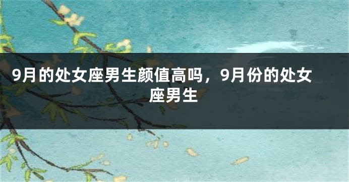 9月的处女座男生颜值高吗,9月份的处女座男生