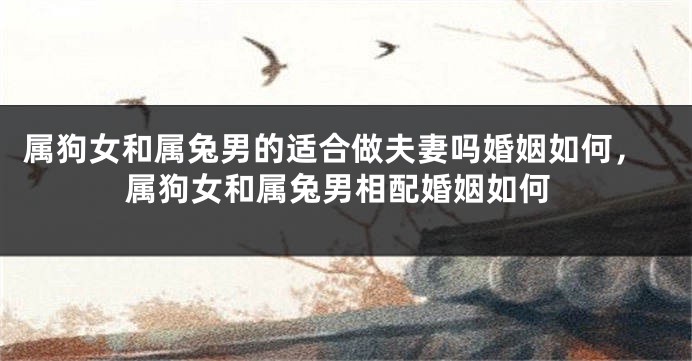 属狗女和属兔男的适合做夫妻吗婚姻如何，属狗女和属兔男相配婚姻如何