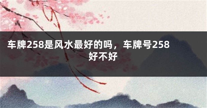 车牌258是风水最好的吗，车牌号258好不好