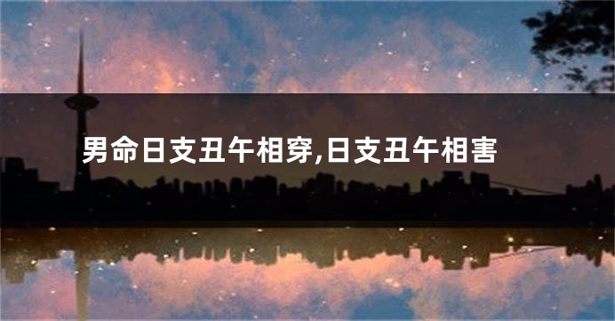 男命日支丑午相穿,日支丑午相害